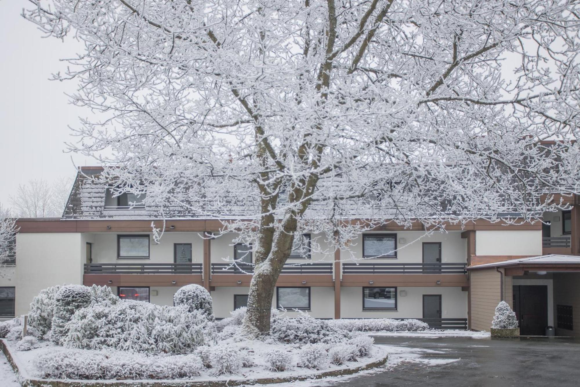 Deluxe Apartment For 5 - Sauna & Pool - Free Parking Winterberg Kültér fotó